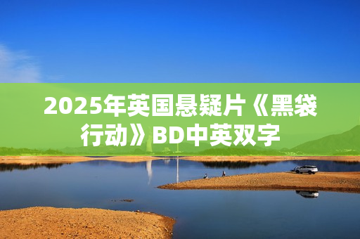 2025年英国悬疑片《黑袋行动》BD中英双字