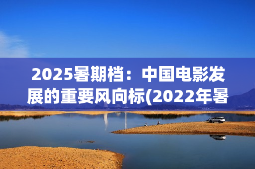 2025暑期档：中国电影发展的重要风向标(2022年暑期档电影)