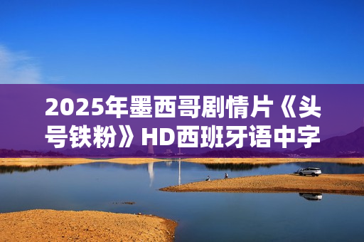 2025年墨西哥剧情片《头号铁粉》HD西班牙语中字