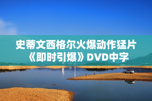 史蒂文西格尔火爆动作猛片《即时引爆》DVD中字