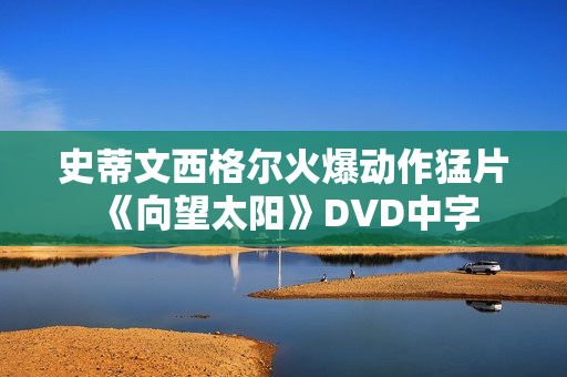 史蒂文西格尔火爆动作猛片《向望太阳》DVD中字
