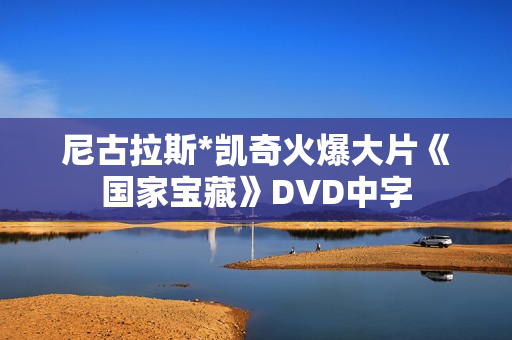 尼古拉斯*凯奇火爆大片《国家宝藏》DVD中字