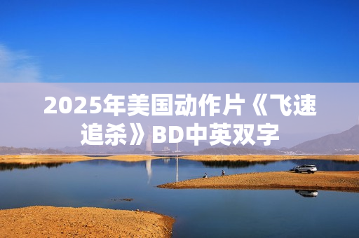 2025年美国动作片《飞速追杀》BD中英双字