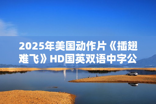 2025年美国动作片《插翅难飞》HD国英双语中字公映版