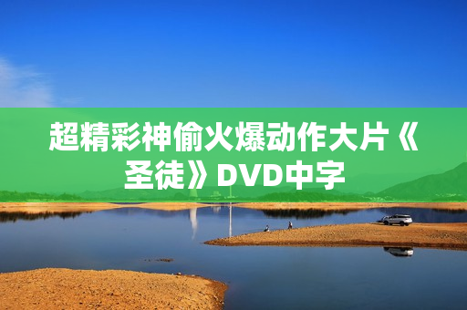 超精彩神偷火爆动作大片《圣徒》DVD中字