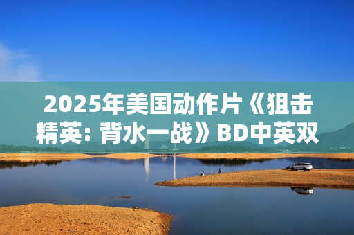 2025年美国动作片《狙击精英: 背水一战》BD中英双字