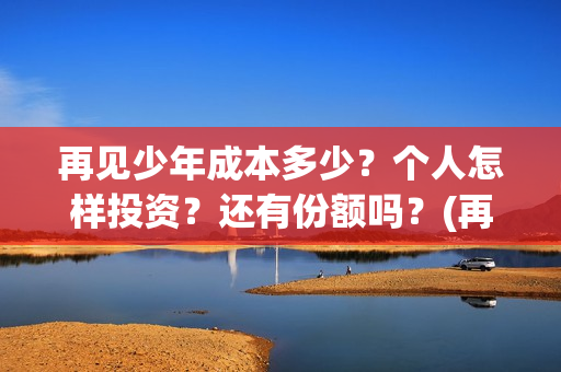 再见少年成本多少？个人怎样投资？还有份额吗？(再见少年到底怎么了)
