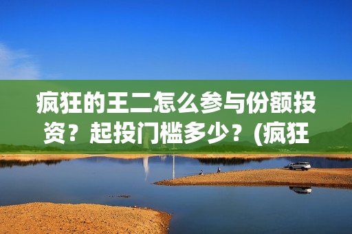 疯狂的王二怎么参与份额投资？起投门槛多少？(疯狂的王二怎么下载安装)
