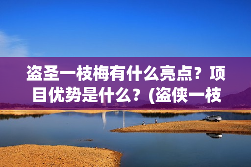 盗圣一枝梅有什么亮点？项目优势是什么？(盗侠一枝梅)