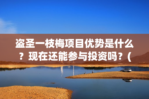 盗圣一枝梅项目优势是什么？现在还能参与投资吗？(盗侠一枝梅)