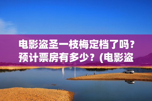 电影盗圣一枝梅定档了吗？预计票房有多少？(电影盗圣一枝梅简介)