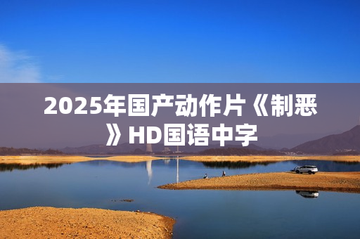 2025年国产动作片《制恶》HD国语中字