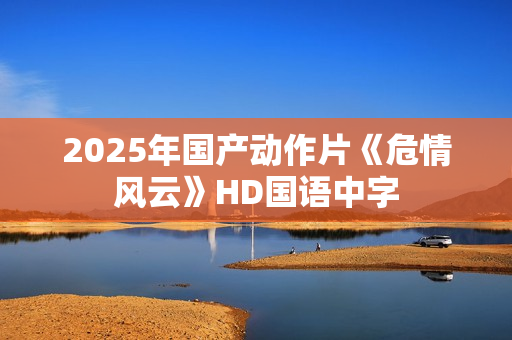 2025年国产动作片《危情风云》HD国语中字