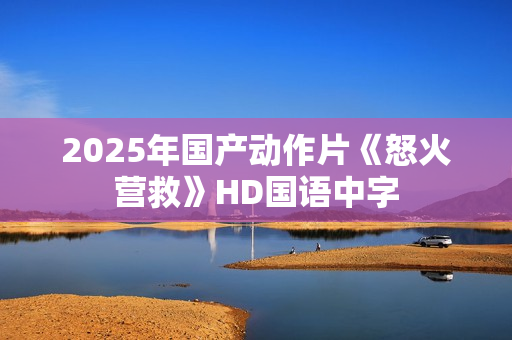 2025年国产动作片《怒火营救》HD国语中字