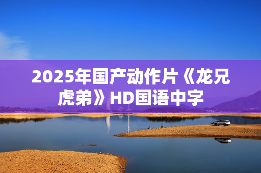 2025年国产动作片《龙兄虎弟》HD国语中字