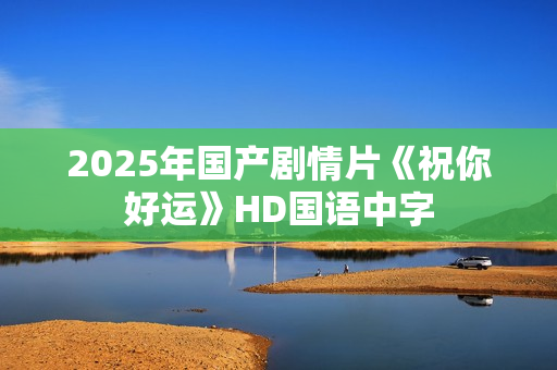 2025年国产剧情片《祝你好运》HD国语中字