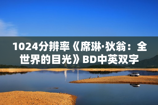 1024分辨率《席琳·狄翁：全世界的目光》BD中英双字无水印