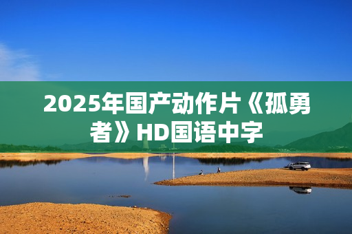 2025年国产动作片《孤勇者》HD国语中字