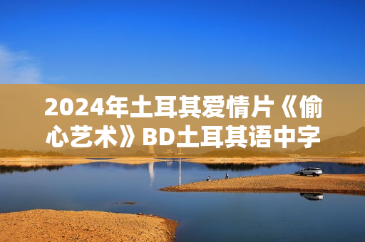 2024年土耳其爱情片《偷心艺术》BD土耳其语中字