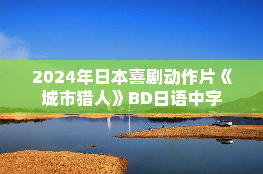 2024年日本喜剧动作片《城市猎人》BD日语中字