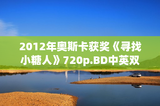 2012年奥斯卡获奖《寻找小糖人》720p.BD中英双字幕