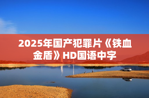 2025年国产犯罪片《铁血金盾》HD国语中字