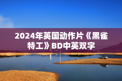2024年英国动作片《黑雀特工》BD中英双字