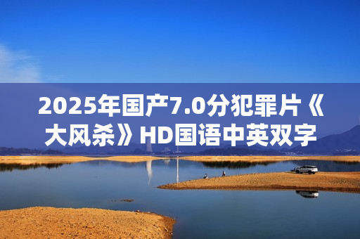 2025年国产7.0分犯罪片《大风杀》HD国语中英双字