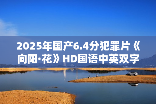 2025年国产6.4分犯罪片《向阳·花》HD国语中英双字超清版