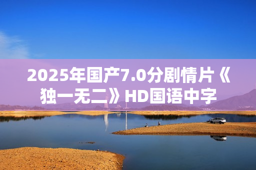 2025年国产7.0分剧情片《独一无二》HD国语中字