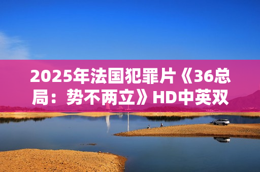 2025年法国犯罪片《36总局：势不两立》HD中英双字