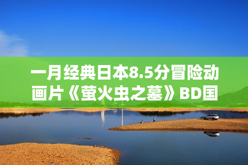 一月经典日本8.5分冒险动画片《萤火虫之墓》BD国粤日3语中字