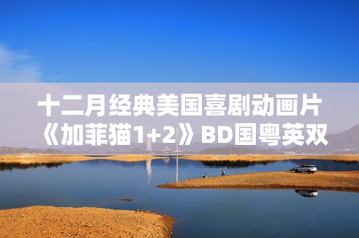十二月经典美国喜剧动画片《加菲猫1+2》BD国粤英双字