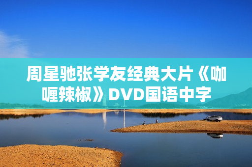 周星驰张学友经典大片《咖喱辣椒》DVD国语中字