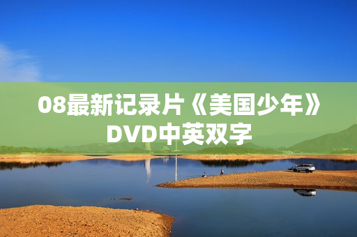 08最新记录片《美国少年》DVD中英双字