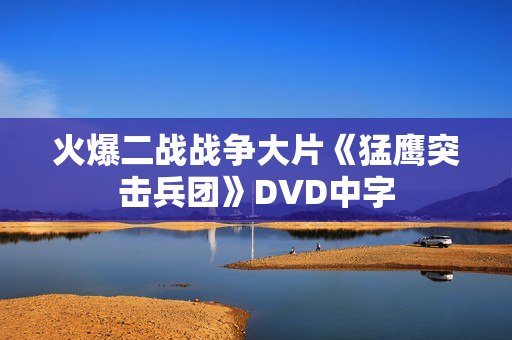 火爆二战战争大片《猛鹰突击兵团》DVD中字