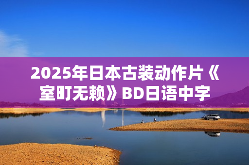 2025年日本古装动作片《室町无赖》BD日语中字