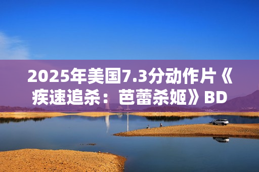 2025年美国7.3分动作片《疾速追杀：芭蕾杀姬》BD国英双语双字