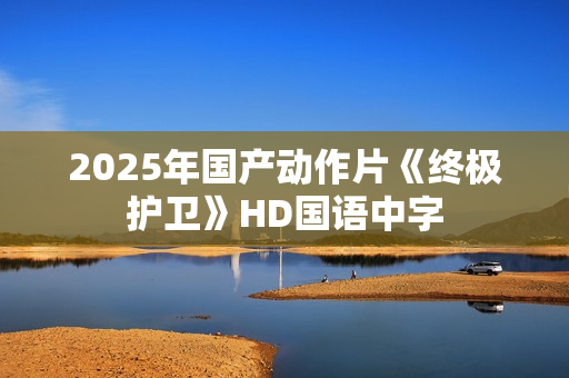 2025年国产动作片《终极护卫》HD国语中字
