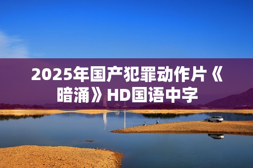 2025年国产犯罪动作片《暗涌》HD国语中字