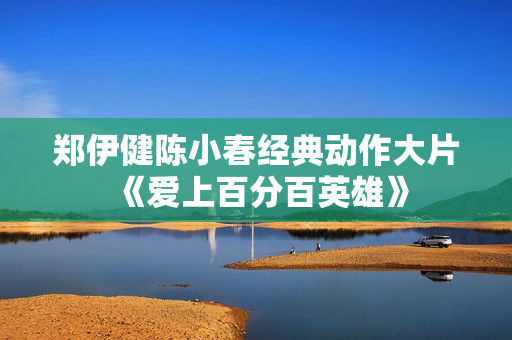 郑伊健陈小春经典动作大片《爱上百分百英雄》