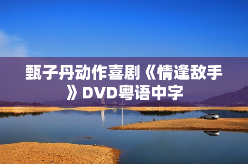 甄子丹动作喜剧《情逢敌手》DVD粤语中字