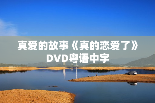 真爱的故事《真的恋爱了》DVD粤语中字