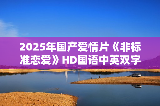 2025年国产爱情片《非标准恋爱》HD国语中英双字