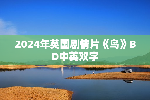 2024年英国剧情片《鸟》BD中英双字