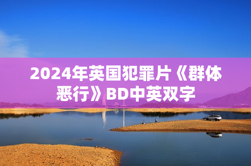 2024年英国犯罪片《群体恶行》BD中英双字