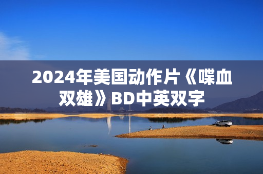 2024年美国动作片《喋血双雄》BD中英双字