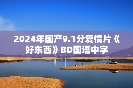 2024年国产9.1分爱情片《好东西》BD国语中字
