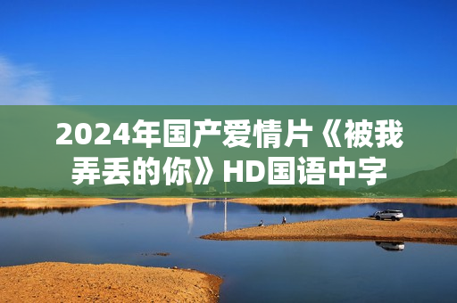 2024年国产爱情片《被我弄丢的你》HD国语中字