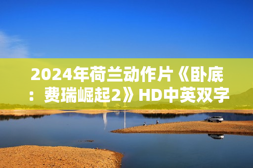 2024年荷兰动作片《卧底：费瑞崛起2》HD中英双字